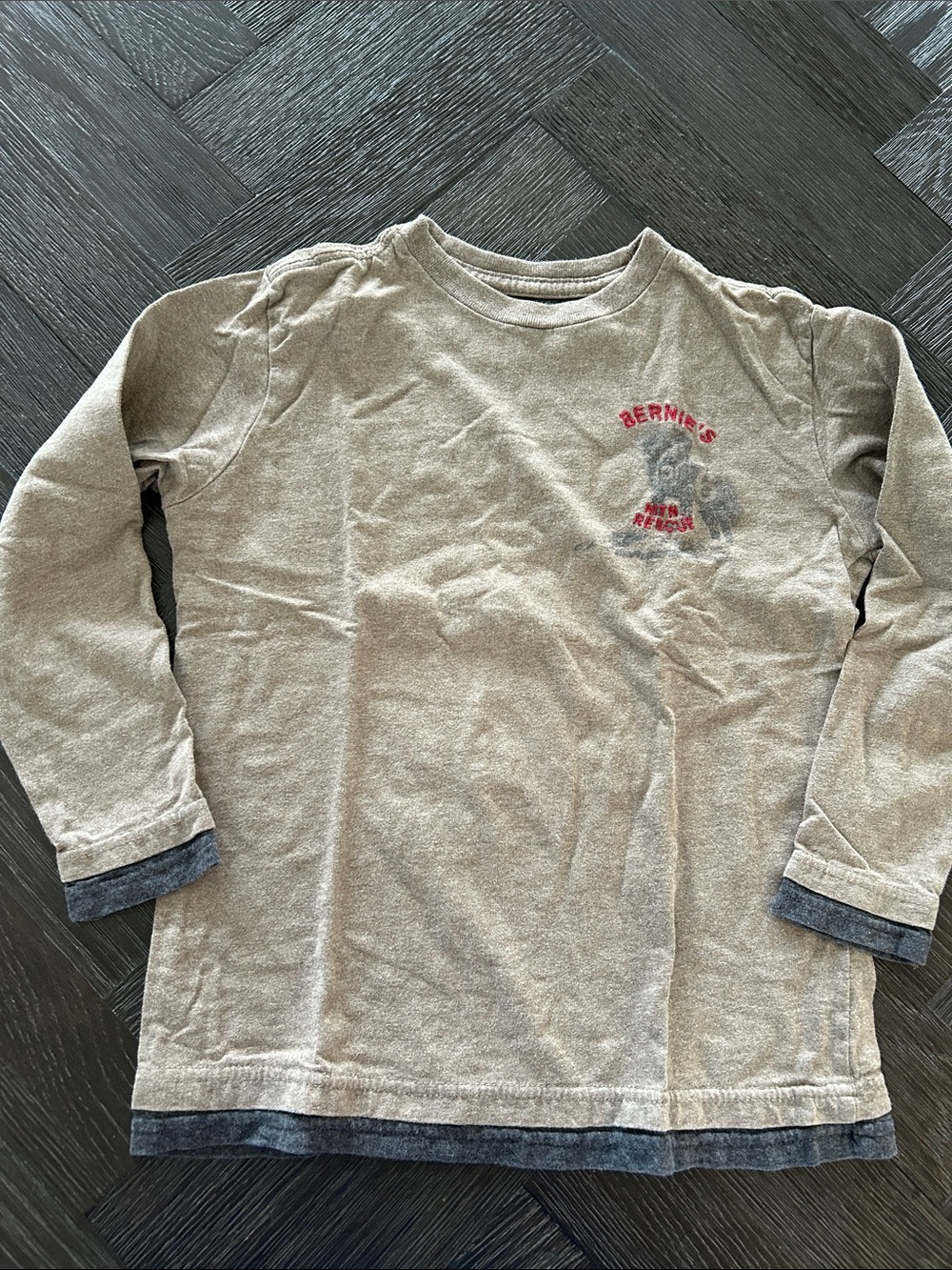 GAP St Bernard Mountain Rescue Long Sleeve Tee Graphic
